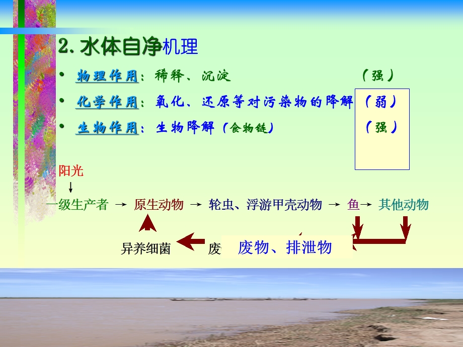 第十三部分水体自净selfpurification.ppt_第3页