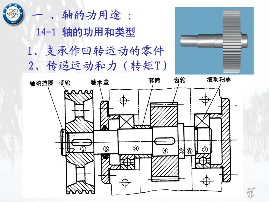 第十四章轴.ppt_第3页