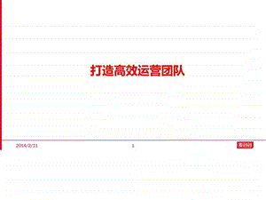 高级淘宝运营团队培训课件加精.ppt