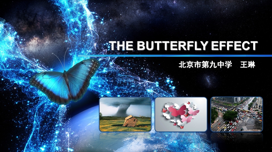 王琳TheButterflyEffect课件.ppt_第1页