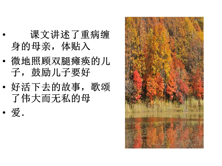 天的怀念2.ppt_第3页