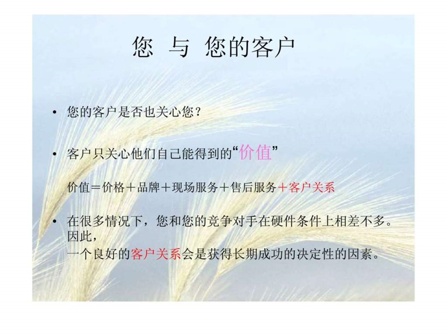 客户关怀计划更好的客户关系帮助更好的盈利.ppt_第2页