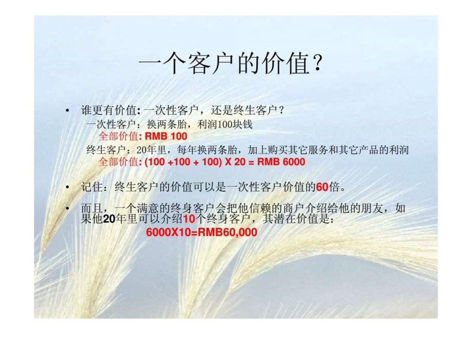 客户关怀计划更好的客户关系帮助更好的盈利.ppt_第3页