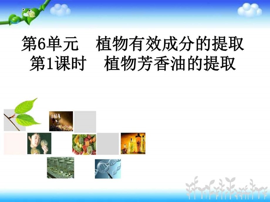 植物芳香油的提取导学案教师端图文.ppt.ppt_第1页