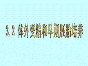 体内受精和早期胚胎培养图文.ppt.ppt