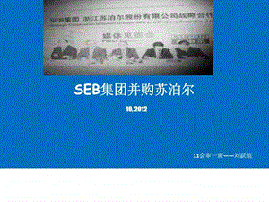 SEB集团并购苏泊尔.ppt.ppt