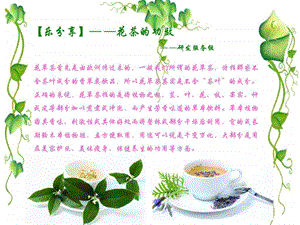 乐分享花茶的功效图文.ppt.ppt