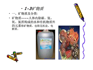 食品生化矿物质.ppt