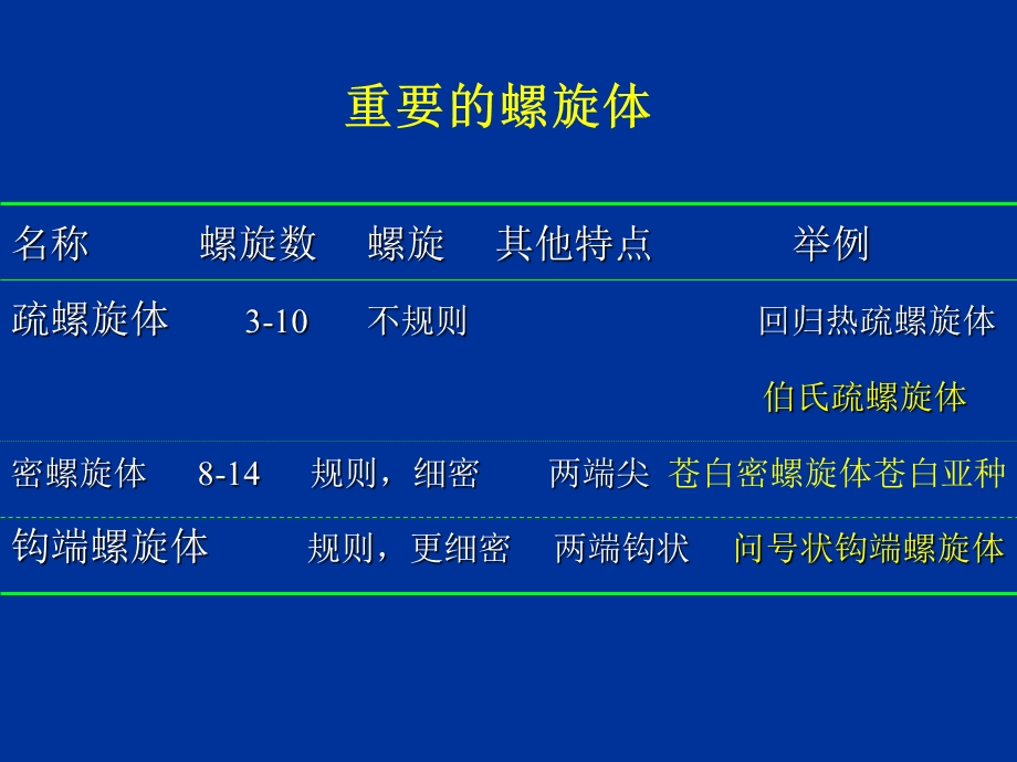 第20章螺旋体spirochete.ppt_第3页