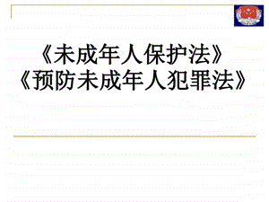 未成年人保护法和预防未成年人犯罪法在....ppt.ppt