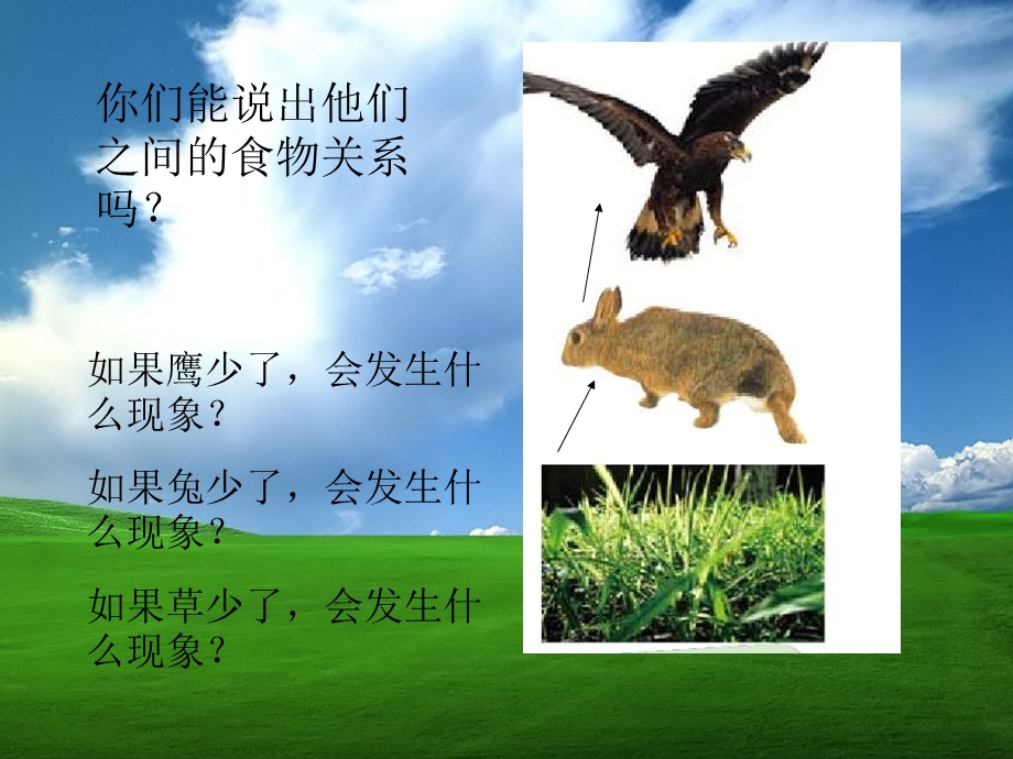 维护生态平衡(1).ppt_第3页