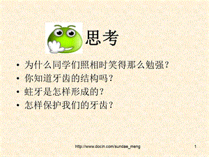 课件牙齿的结构与功能.ppt