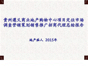 ...地产购物中心项目定位市场调查营销策划销售推广招商...