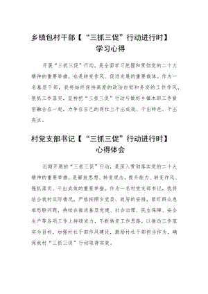 乡镇包村干部【“三抓三促”行动进行时】学习心得 (4篇).docx