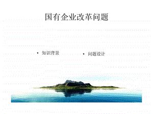 国有企业改革问题.ppt.ppt