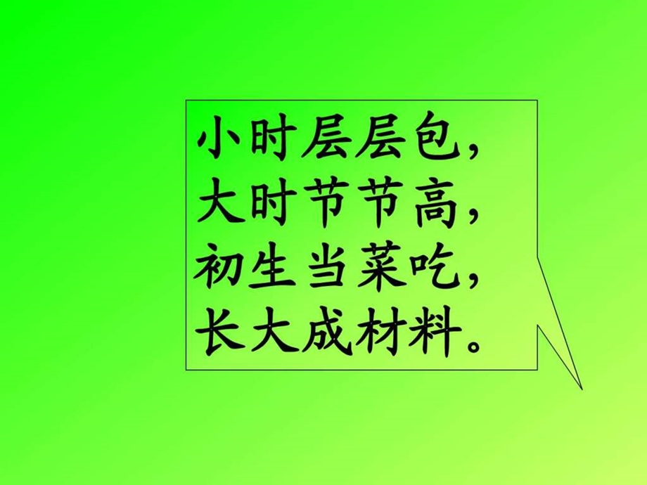 3芛芽儿第一课时图文.ppt.ppt_第2页