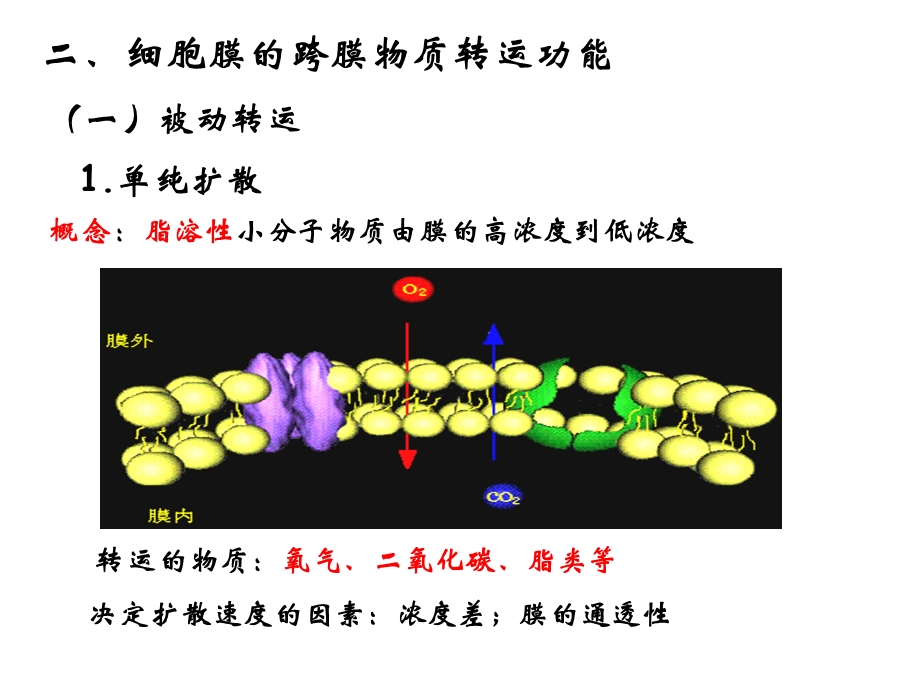 生理学第二章细胞的基本功能演示文稿文档资料.ppt_第2页