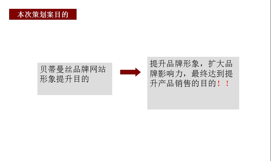 贝蒂曼丝品牌网站形象提升方案.ppt_第2页