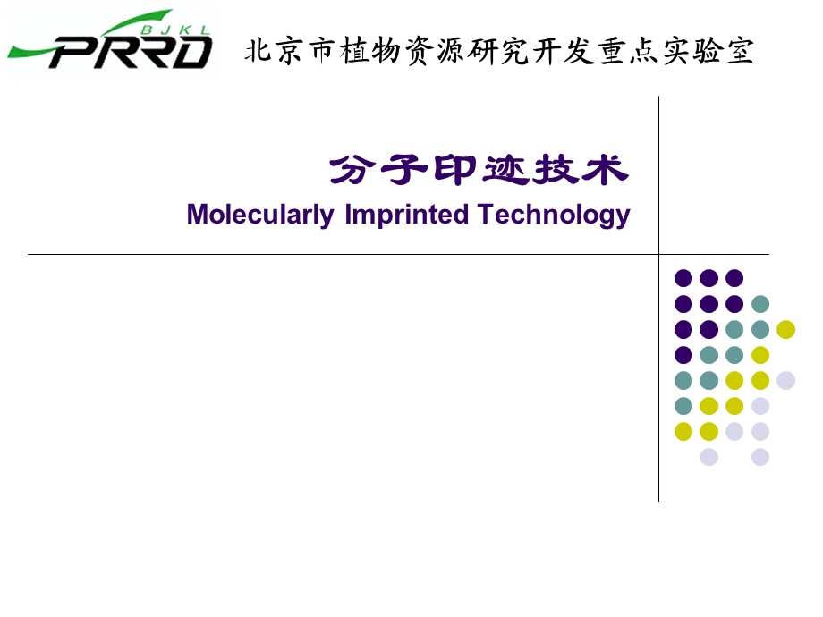 分子印迹技术.ppt_第1页