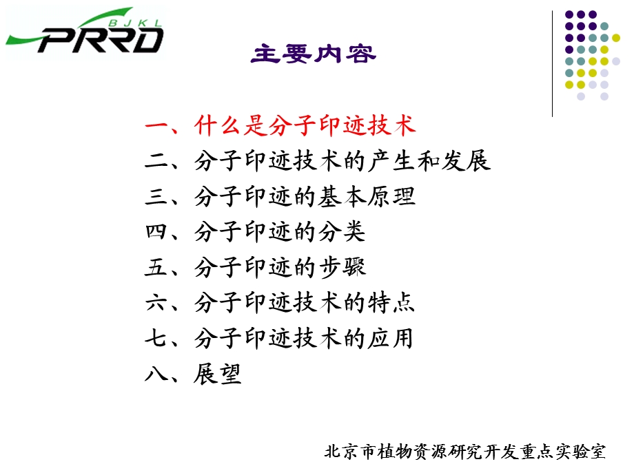 分子印迹技术.ppt_第2页