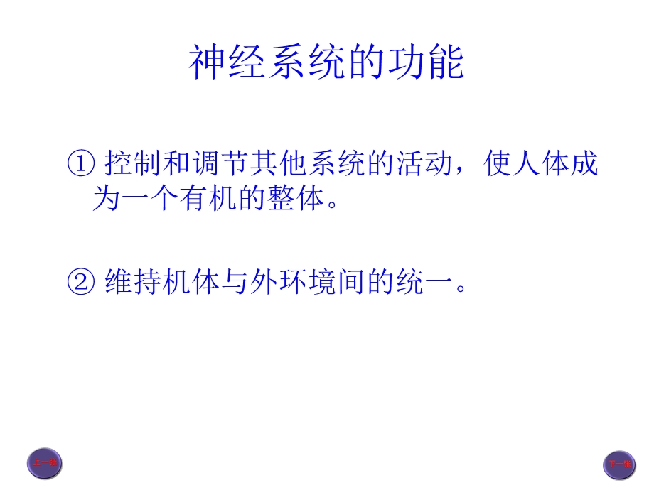 神经系总论和脊神经本科、新文档资料.ppt_第3页