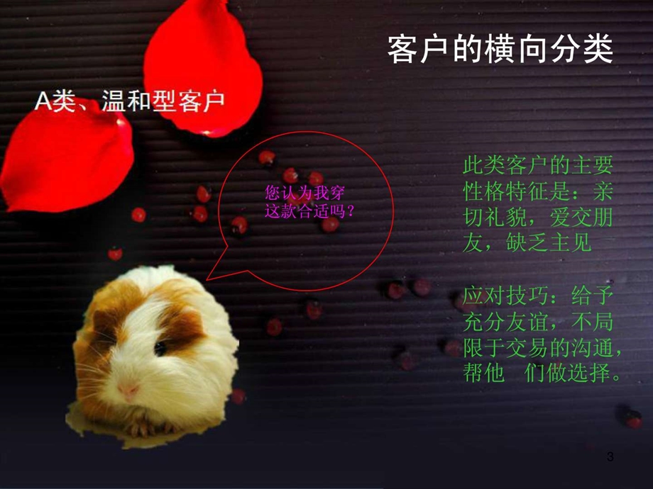 售前客服沟通技巧篇图文.ppt.ppt_第3页