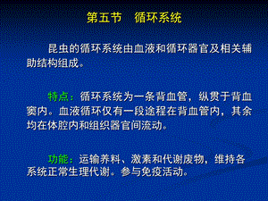 昆虫学课件第四章昆虫的循环和呼吸系统.ppt