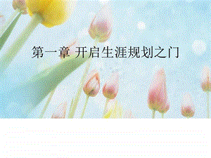 第一章开启生涯规划之门图文.ppt.ppt