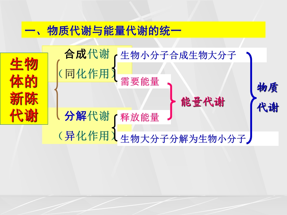 第6章糖代谢.ppt_第3页