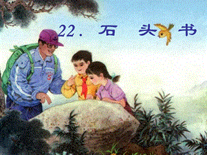 小学读物石头书.ppt