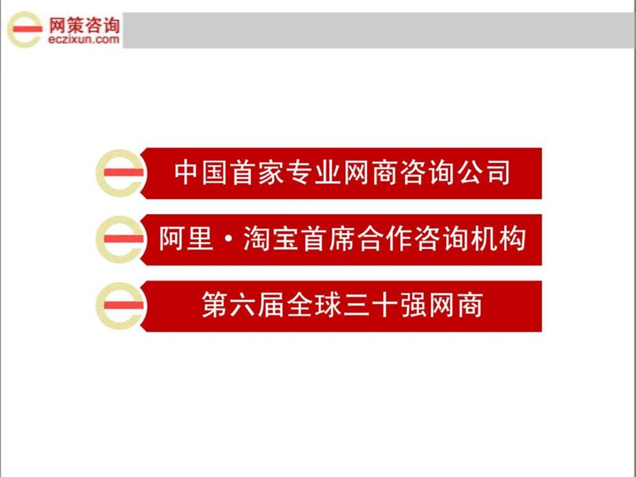 传统企业电子商务之路网策咨询.ppt_第3页