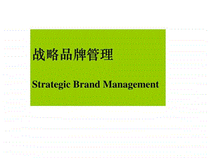 品牌传播战略.ppt