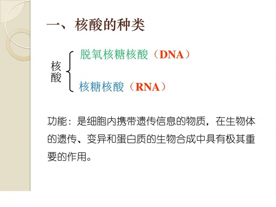 2.3遗传信息的携带者核酸图文1465839541.ppt.ppt_第3页