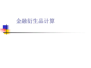 资产定价执行程序.ppt