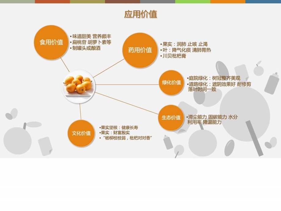 枇杷的栽培与管理林学农林牧渔专业资料.ppt_第3页