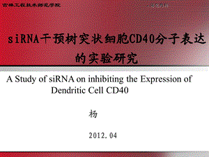 siRNA干预树突状细胞CD40分子表达的实验研究.ppt