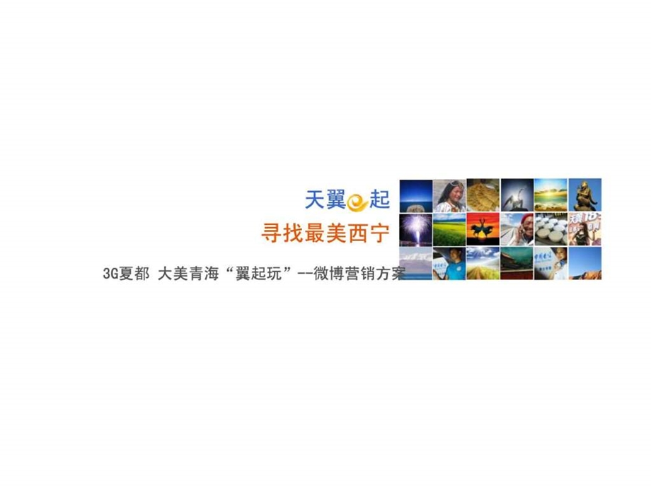 电信微博营销.ppt.ppt_第1页