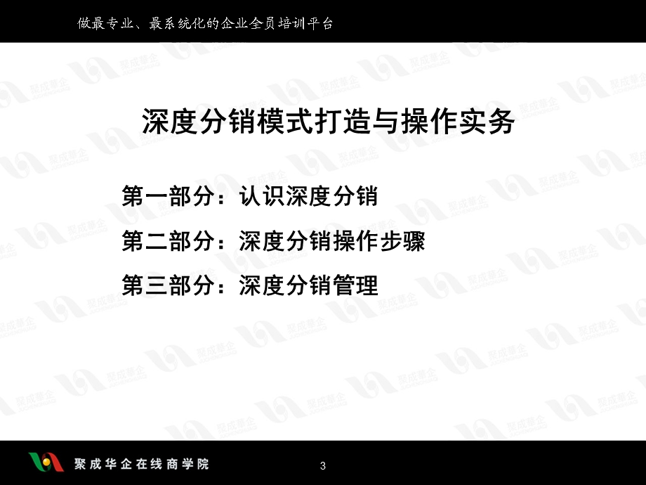 深度分销模式打造之认识深度分销.ppt_第3页