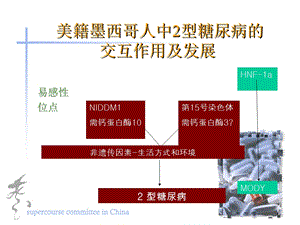 美籍墨西哥人中2型糖尿病的交互作用及发展.ppt