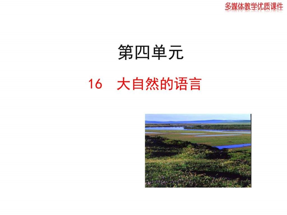 16大自然的语言图文.ppt20.ppt_第1页