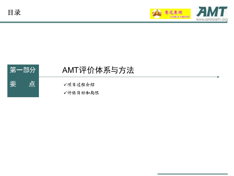 AMT咨询鲁花集团食品行业成功模式分析与鲁花分销系统应用评估.ppt_第3页