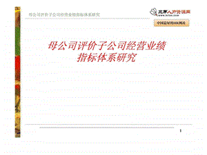 母公司评价子公司经营业绩指标体系研究.ppt