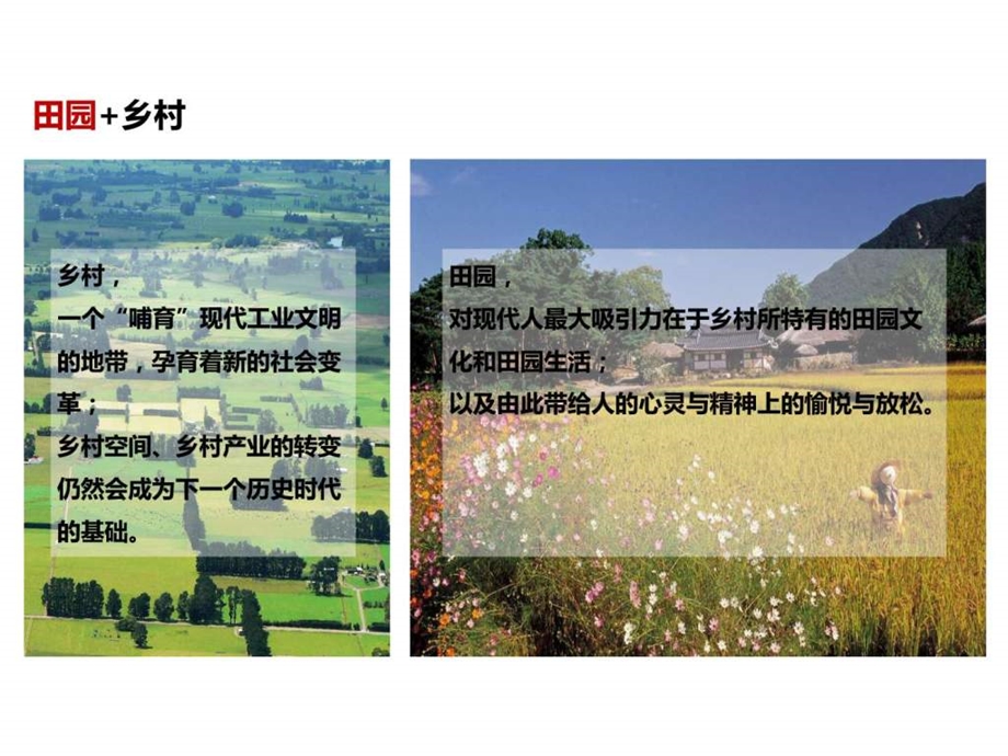 02田园综合体项目简介0312图文.ppt12.ppt_第3页