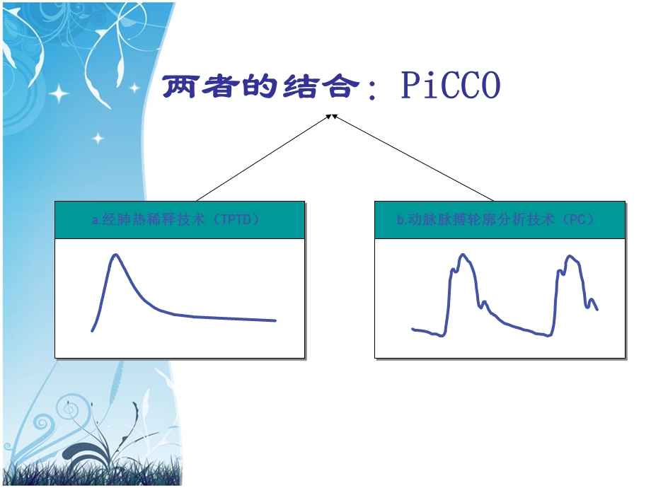 picco的监测与护理ppt课件.ppt_第2页