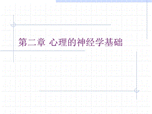 北京联合大学师范学院 吴雪疆 第二章 心理的神经学基础.ppt