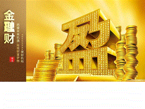 财富盈门金融投资理财ppt模板图文9.ppt