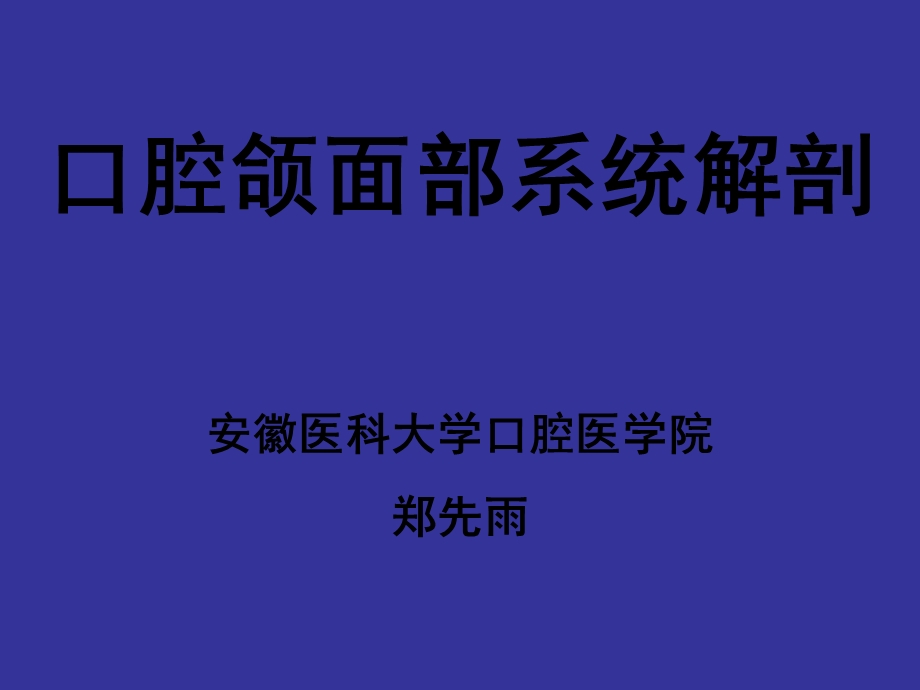 颌面部骨与肌肉ppt课件.ppt_第1页