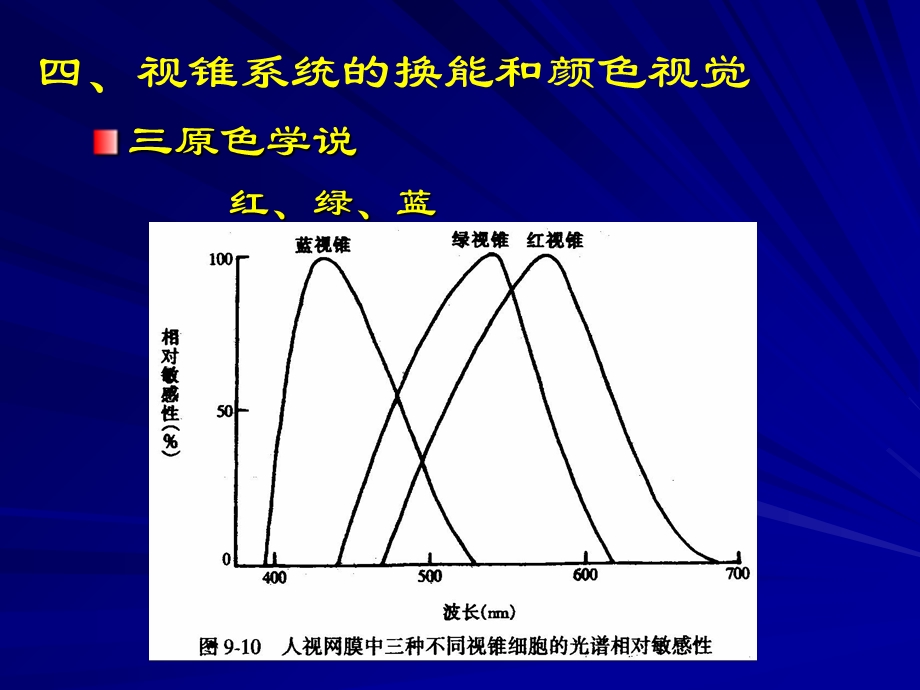 二视杆细胞外段的超微结构和感受器电位的产生课件文档资料.ppt_第1页