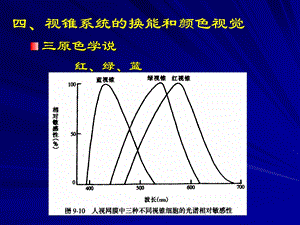 二视杆细胞外段的超微结构和感受器电位的产生课件文档资料.ppt