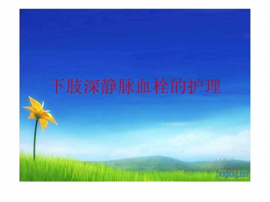 下肢深静脉血栓的护理图文.ppt.ppt_第1页